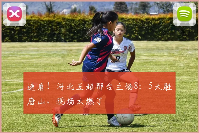 速看！河北五超邢台主场8：5大胜唐山，现场太燃了