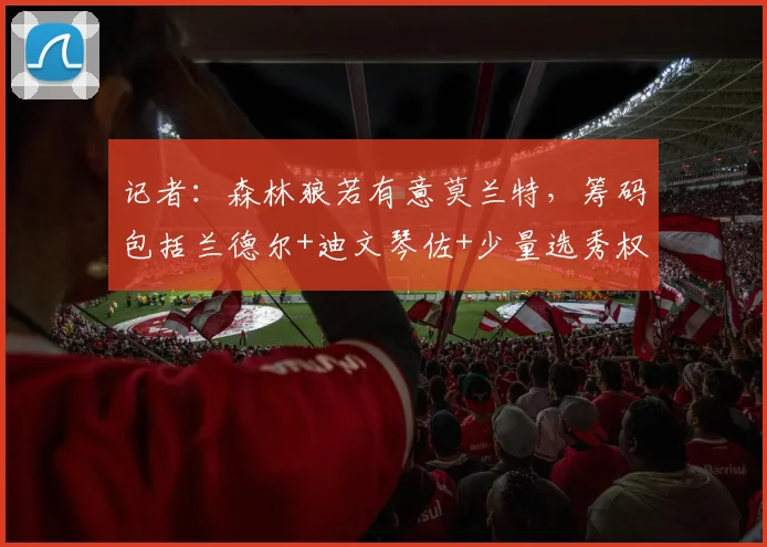 记者：森林狼若有意莫兰特，筹码包括兰德尔+迪文琴佐+少量选秀权